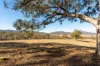 1035 Jerangle Road, Bredbo, NSW 2626-Image
