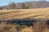 1035 Jerangle Road, Bredbo, NSW 2626-Image