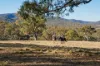1035 Jerangle Road, Bredbo, NSW 2626-Image