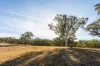 1035 Jerangle Road, Bredbo, NSW 2626-Image