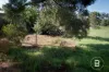 104 Barkly Street, Dunolly, Vic 3472-Image