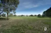 104 Barkly Street, Dunolly, Vic 3472-Image