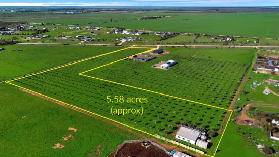 104 Schutt Road, Dublin, SA 5501