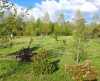 105 Hardinge Street, Guyra, NSW 2365-Image