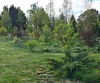 105 Hardinge Street, Guyra, NSW 2365-Image