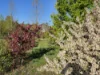 105 Hardinge Street, Guyra, NSW 2365-Image