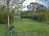 105 Hardinge Street, Guyra, NSW 2365-Image