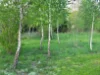 105 Hardinge Street, Guyra, NSW 2365-Image