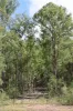 106 Cambridge Drive, Mount Hallen, Qld 4312-Image