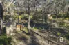 106  Derby Road, Maryborough, Vic 3465-Image