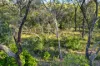 106 Fitzroy Crescent, Agnes Water, Qld 4677-Image
