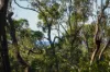106 Fitzroy Crescent, Agnes Water, Qld 4677-Image