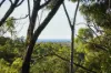 106 Fitzroy Crescent, Agnes Water, Qld 4677-Image