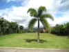 106 Keith Willimas Drive, Cardwell, Qld 4849-Image