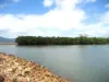 106 Keith Willimas Drive, Cardwell, Qld 4849-Image