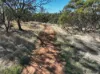 107 Charlton Boulevard, Coondle, WA 6566-Image