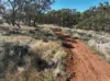 107 Charlton Boulevard, Coondle, WA 6566-Image
