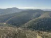 107 Downhams Road, Risdon Vale, Tas 7016-Image