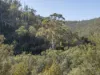 107 Downhams Road, Risdon Vale, Tas 7016-Image