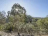 107 Downhams Road, Risdon Vale, Tas 7016-Image