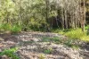 107 Sleipner Road, Nankin, Qld 4701