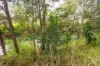 107 Sleipner Road, Nankin, Qld 4701-Image