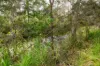107 Sleipner Road, Nankin, Qld 4701-Image
