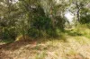 107 Sleipner Road, Nankin, Qld 4701-Image
