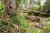 107 Sleipner Road, Nankin, Qld 4701-Image