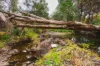107 Sleipner Road, Nankin, Qld 4701-Image