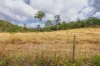 107 Sleipner Road, Nankin, Qld 4701-Image
