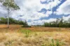 107 Sleipner Road, Nankin, Qld 4701-Image
