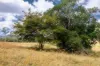 107 Sleipner Road, Nankin, Qld 4701-Image
