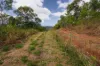 107 Sleipner Road, Nankin, Qld 4701-Image
