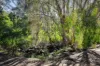 107 Sleipner Road, Nankin, Qld 4701-Image