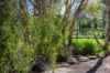 107 Sleipner Road, Nankin, Qld 4701-Image