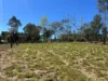 1072 Old Esk Road, Taromeo, Qld 4314-Image