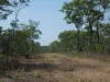 108 Mielang Road, Blackmore, NT 0822