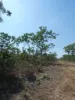 108 Mielang Road, Blackmore, NT 0822-Image