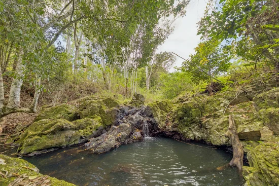 109 Oehmichen Road, Witta, Qld 4552