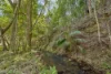 109 Oehmichen Road, Witta, Qld 4552-Image