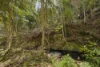 109 Oehmichen Road, Witta, Qld 4552-Image