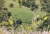 109 Oehmichen Road, Witta, Qld 4552-Image