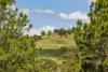 109 Oehmichen Road, Witta, Qld 4552-Image