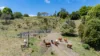 109 Oehmichen Road, Witta, Qld 4552-Image