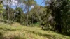 109 Oehmichen Road, Witta, Qld 4552-Image