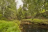 109 Oehmichen Road, Witta, Qld 4552-Image