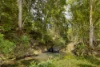 109 Oehmichen Road, Witta, Qld 4552-Image
