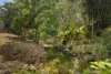 109 Oehmichen Road, Witta, Qld 4552-Image