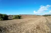 109 Prices Lane, Merriwa, NSW 2329-Image